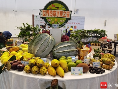 2025年2月，鷹米團(tuán)隊(duì)講解器如何讓世界熱帶水果之窗